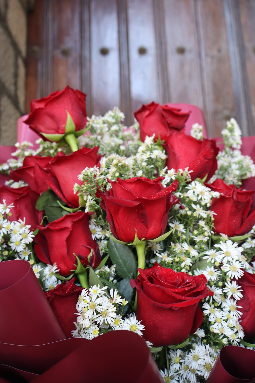 Ecuadorian Rose