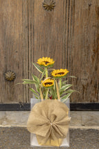 Sunflower Bouquet