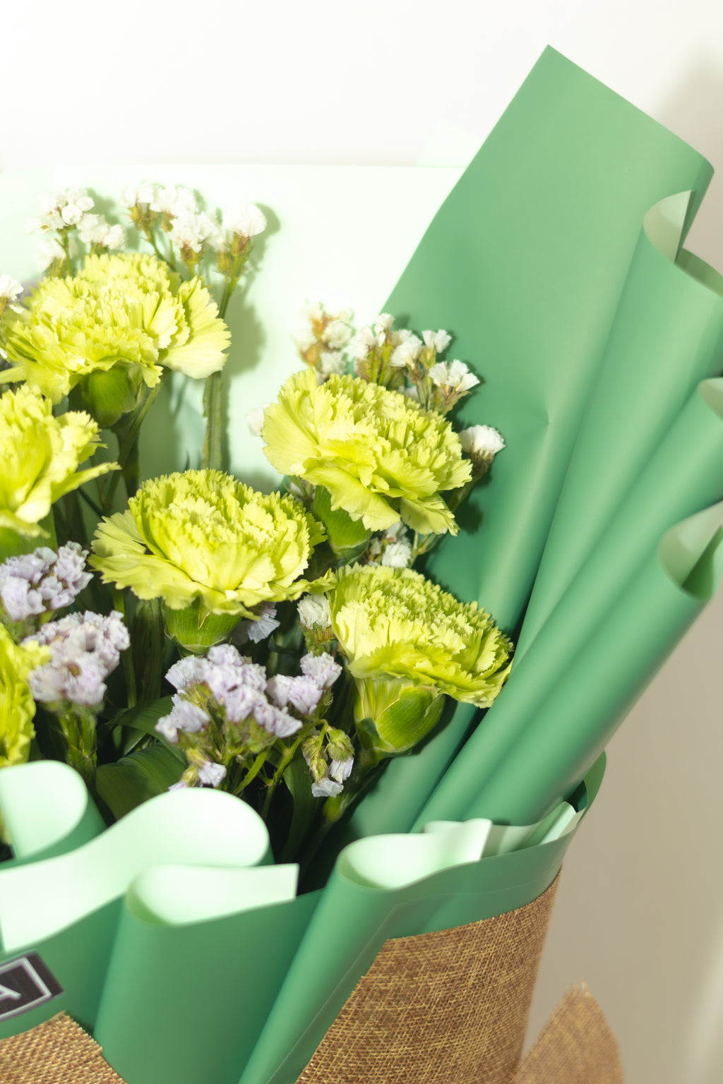 Carnation Bouquet